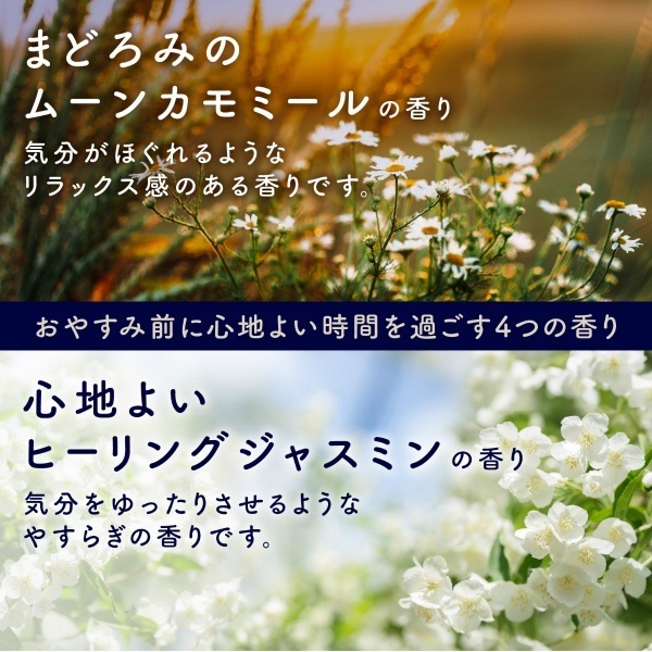 ˢ ONPO 䤹ߥ 12 : 