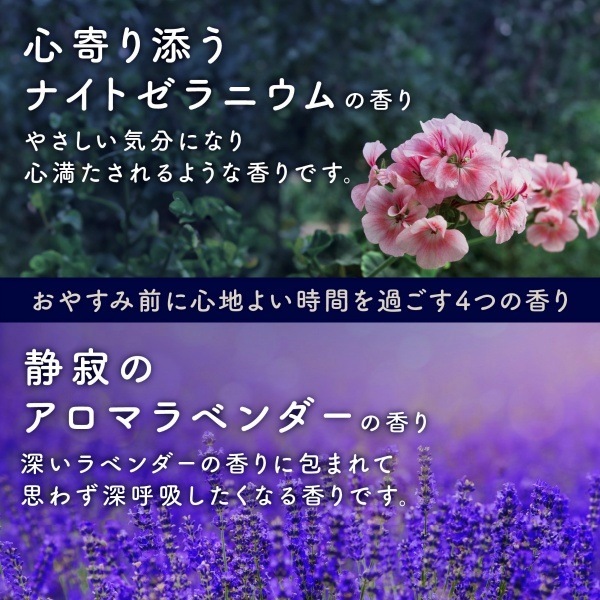 ˢ ONPO 䤹ߥ 12 : 