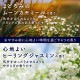 ˢ ONPO 䤹ߥ 12 : 