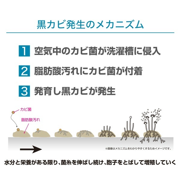 ��P10�ܡ����Ƿ� �������奯�꡼�ʡ� 750g : �ꥣ���ɥ���ѥ�������