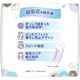 !!Τ!!  80cc30ۥѡ ¿ ̵ 27cm 80cc 30 : С