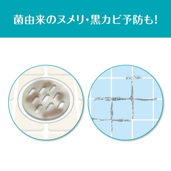 楽ナビ 大浴場クリーナー 業務用 10Kg : 花王プロフェッショナル 【ケース販売】