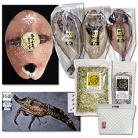 干物まるのメデイア（ギフト）セット【メデイアで紹介されたセットです！(マグロステーキ胴中・伊勢海老干物海外・トロアジ・真ホッケ・カサゴ・イワシ板前まかない・海苔かつお）お洒落な保冷バックがついています