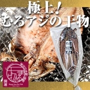 ��������δ�ʪ�����Ϥε��ϴߤ��羭����Ϣ����