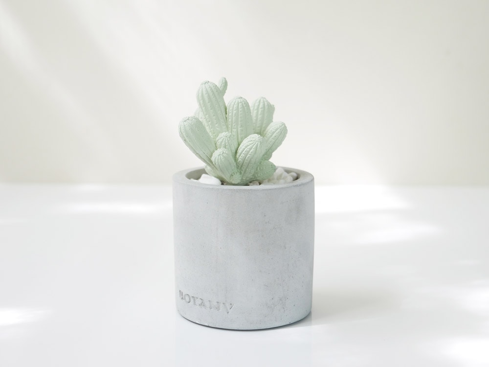 DULTON/ダルトン】フレグランスディフューザー カクタス スプリング