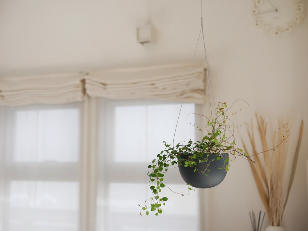 【KINTO/キントー】プラントポット ブラック S|ITEM - DAILY|全ての商品