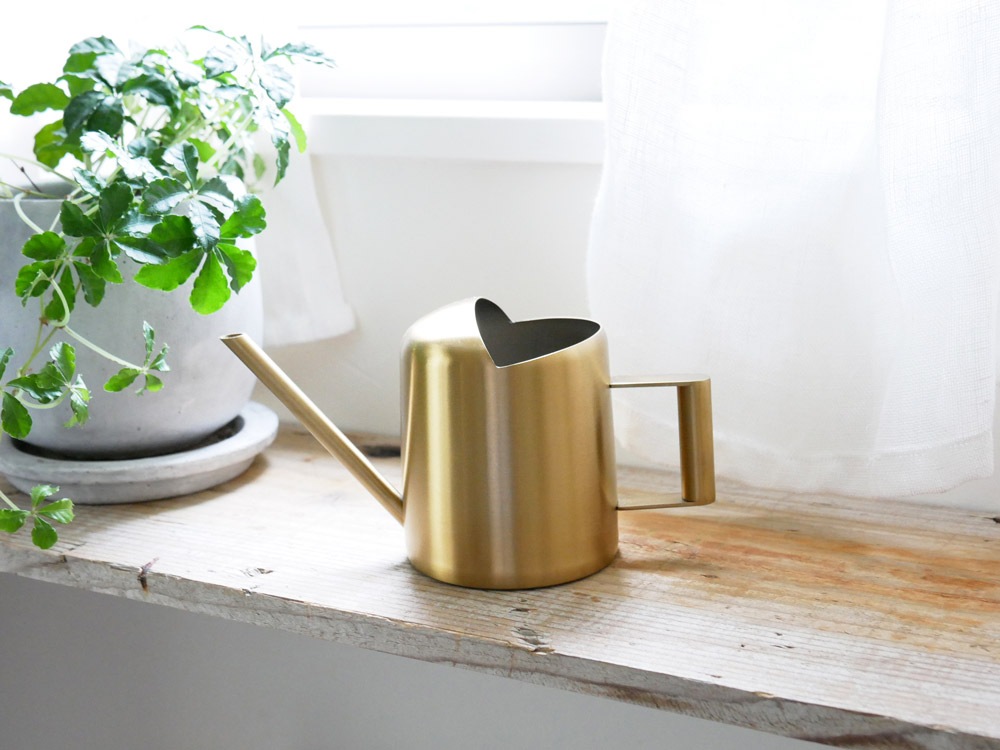 DULTON/ȥ ƥ쥹ԥå㡼 