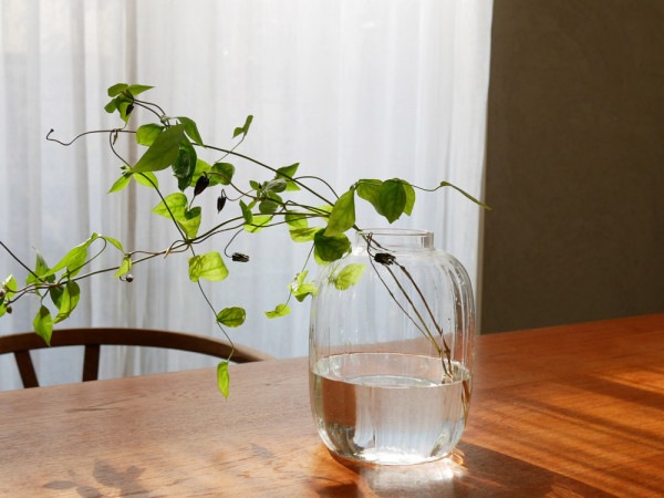 Horn Please MADE/ۡץ꡼ۥ塼饹 ֥ɥ饤 ե١  L