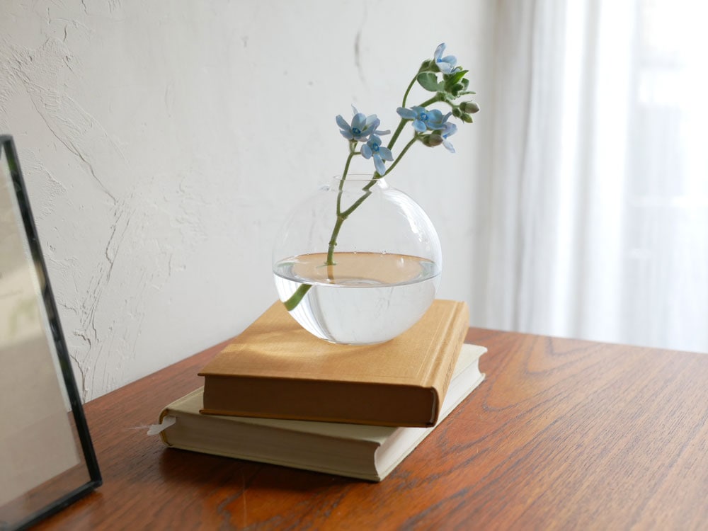 Sghr/ϥۥեե١ ꥢ SSS