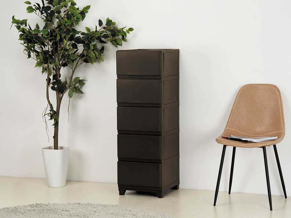 ����ƥꥢ�������ह�ä����Ǽ�������� ���դ������5�� �������֥饦��