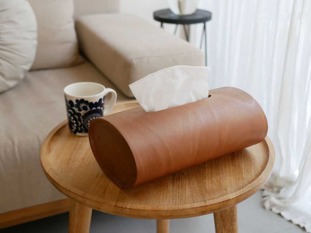 ��BUNACO/�֥ʥ���ŷ���ڤ�2WAY�ƥ��å���ܥå��� SWING �쥮��顼 / �������֥饦��