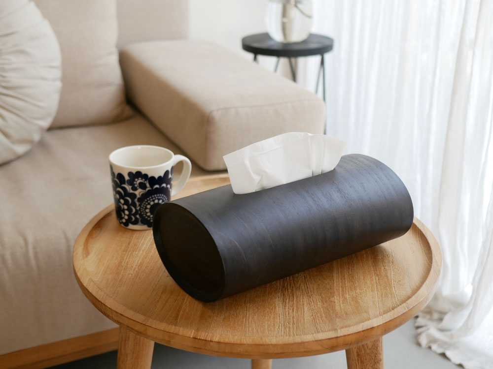 ��BUNACO/�֥ʥ���ŷ���ڤ�2WAY�ƥ��å���ܥå��� SWING ����� / �֥�å�