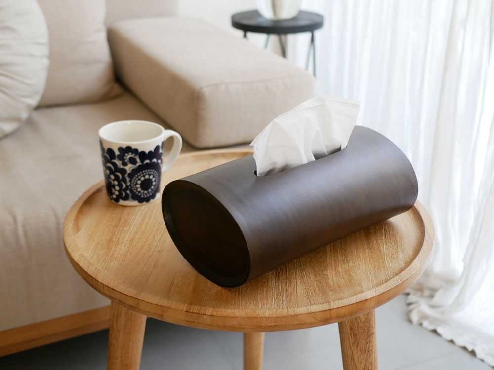 ��BUNACO/�֥ʥ���ŷ���ڤ�2WAY�ƥ��å���ܥå��� SWING ����� / �������֥饦��