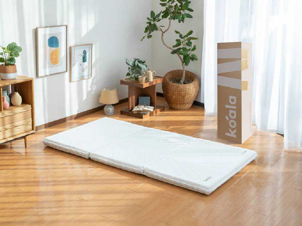 ��Koala/������ۥ�����եȥ� OASIS ���󥰥�