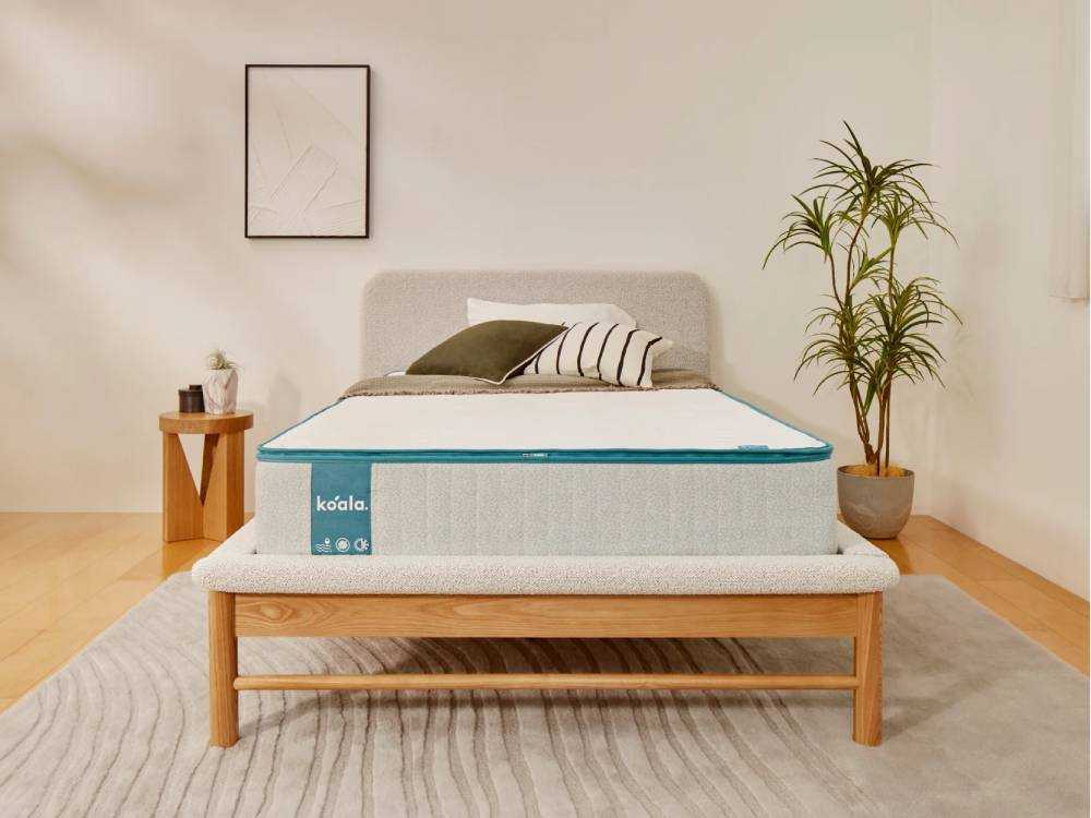 ��Koala/������ۥ�����ޥåȥ쥹�ץ饹 ���󥰥�