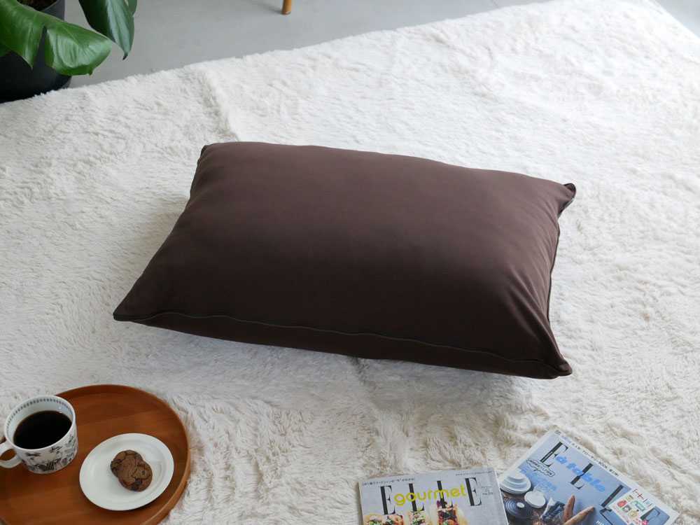 �����ΤҤȤͤ�� �쥮��顼 75��55cm / �֥饦��