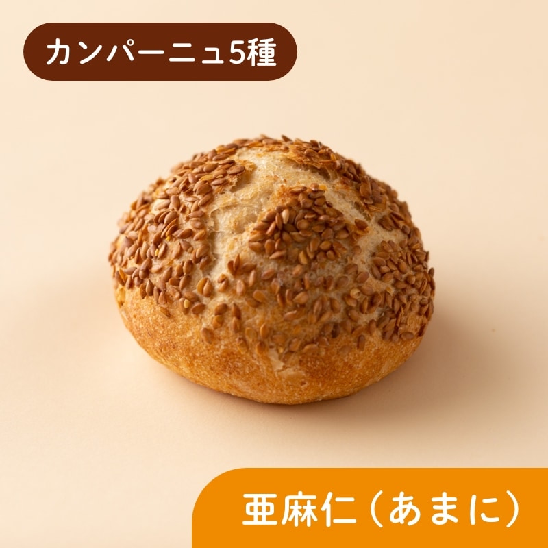 食ぱん食べ比べと選べるカンパーニュのセット