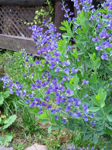 あずさ様　緑系、白、薄紫⭕️9月中まで　⭕️造花葉っぱ無し　⭕️シルバー21 秋色紫陽花 