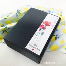 ���������ߡ����٤롪�������������åȡ�2026�������