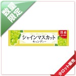 25�̡�/5������׎����ݡ�10γ�������ݎώ������� �����ݎÎގ�������10�����