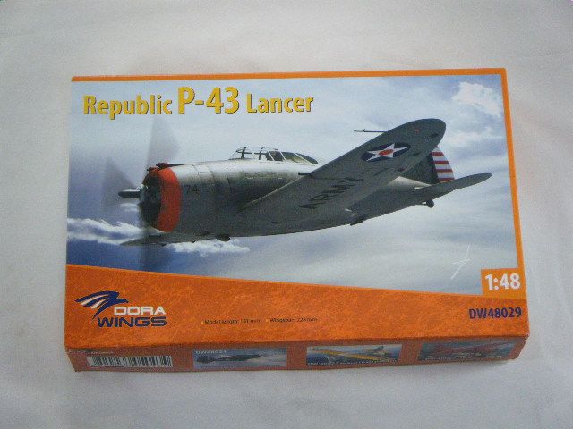 P-43���ʥɥ饦���󥰥��ˡ�DW48029