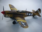 P-40LACE.OF.PEARLSʥࡼ֡ˡ1/48