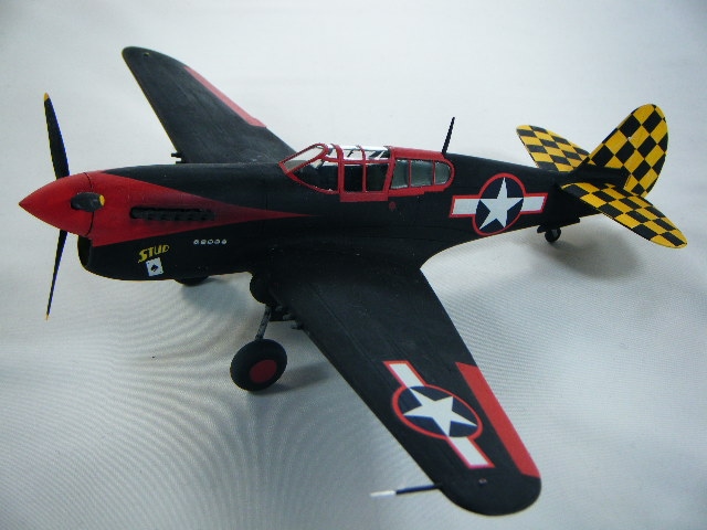 P-40L����AMT�ˡ�1/48��������