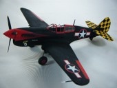 P-40LAMTˡ1/48