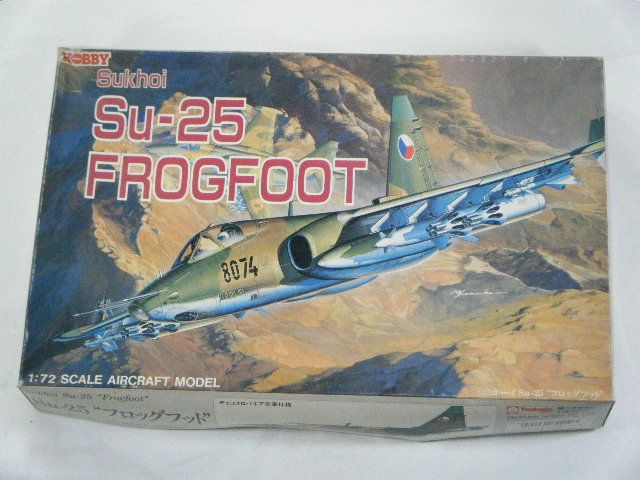 Su-25���ʥĥ����ˡ�S05