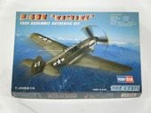 P-40N���ʥۥӡ��ܥ��ˡ�No80252