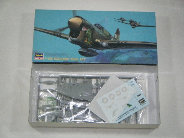 P-40E/�Ρ��������ȡ��ʥϥ�����ˡ�AT101