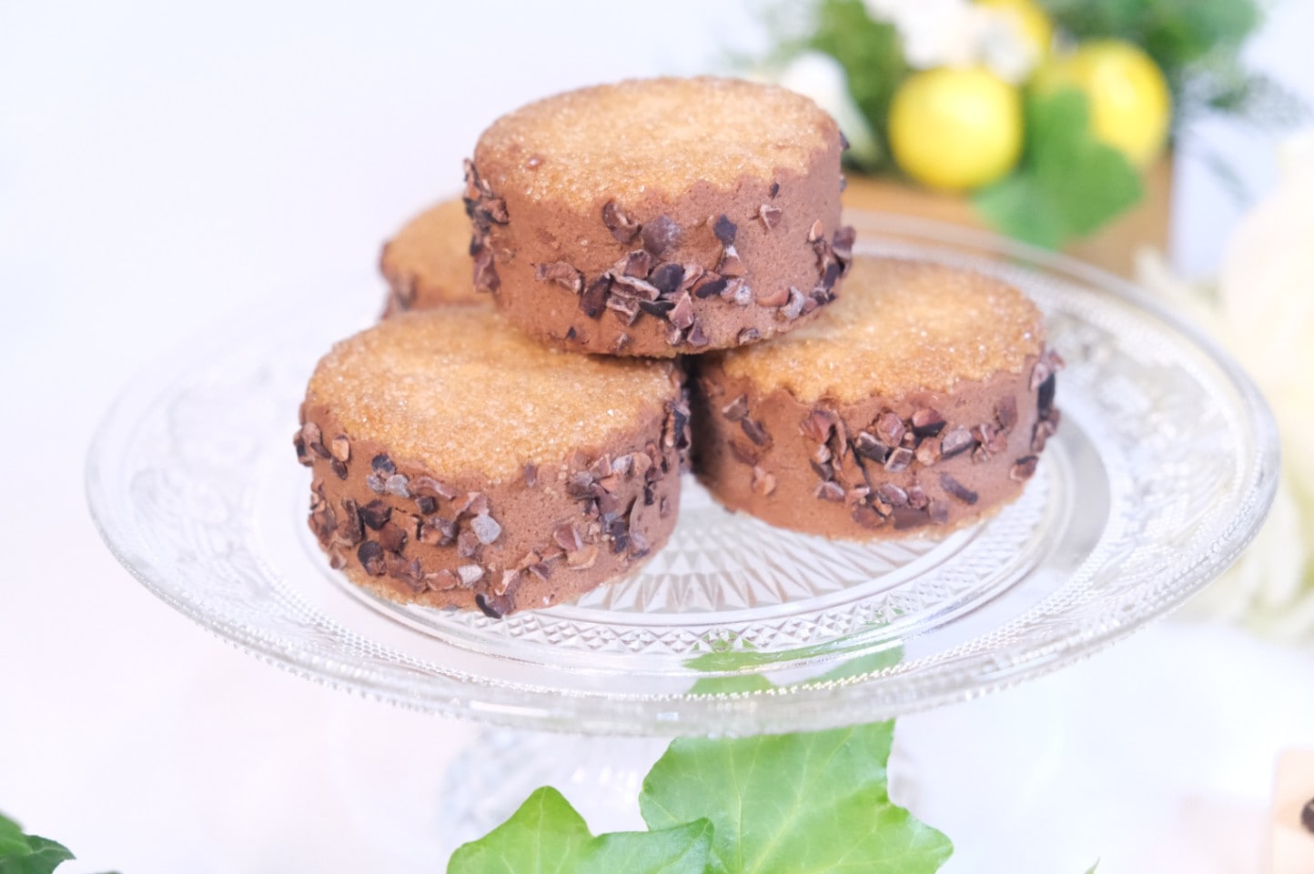 HIROSEYAバターサンド《3種アソート(6個入)》 | ガトーショコラ