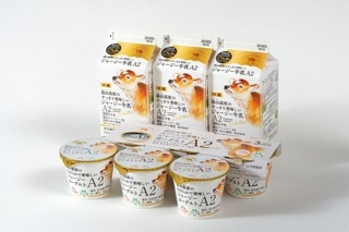 A2������A2�衼����ȥ��å�