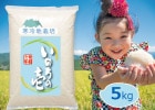 7ǯ Ƥͽ  Τ Τΰ100%Τ  5kg ζƷ ΤߤŤƱ  ̵  ̾ɴ Ҥ뤼 ľ  ǻ