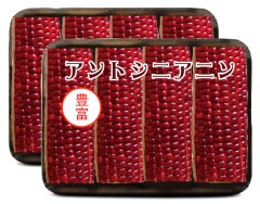 ̳ ֤Ȥ 4 x 2pc 󥵡 ꥫ󥹥ѥå ٸѤ ȥ  B2B_WRAP_AKA_8