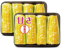 ��̳�� �����Ȥ�������� 4�� x 2pc �����󥵡� ����ꥫ�󥹥�����ѥå� ���ٸ����Ѥ� �������ȥ����� B2B_WRAP_KI_8