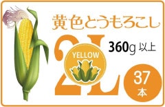 ��̳�� ��٥��դ� ������ɥ�å���ϲ����Ȥ�������� 2L������ 37�� 1��360�����ʾ� B2B_YELLOW380_RABEL