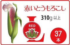 ̳ ٥դ ֤Ȥ 37 1310ʾ B2B_RED330_RABEL