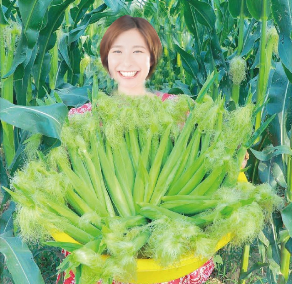 ヤングコーン ベビーコーン 皮付き 生 農家 直売 販売 岡山 ひるぜん