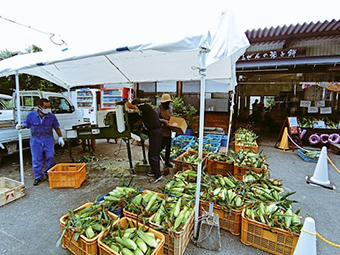 �ȼ��͸��� ī�Τ� ������ȥ��������40�� ���������� ���� ����̵�� ���� �Ҥ뤼������