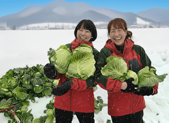 Ť 㲼٥  ǻ⸶ 1 4kg ǻľŹʱĶȻ֡916ˤǤŹƬ