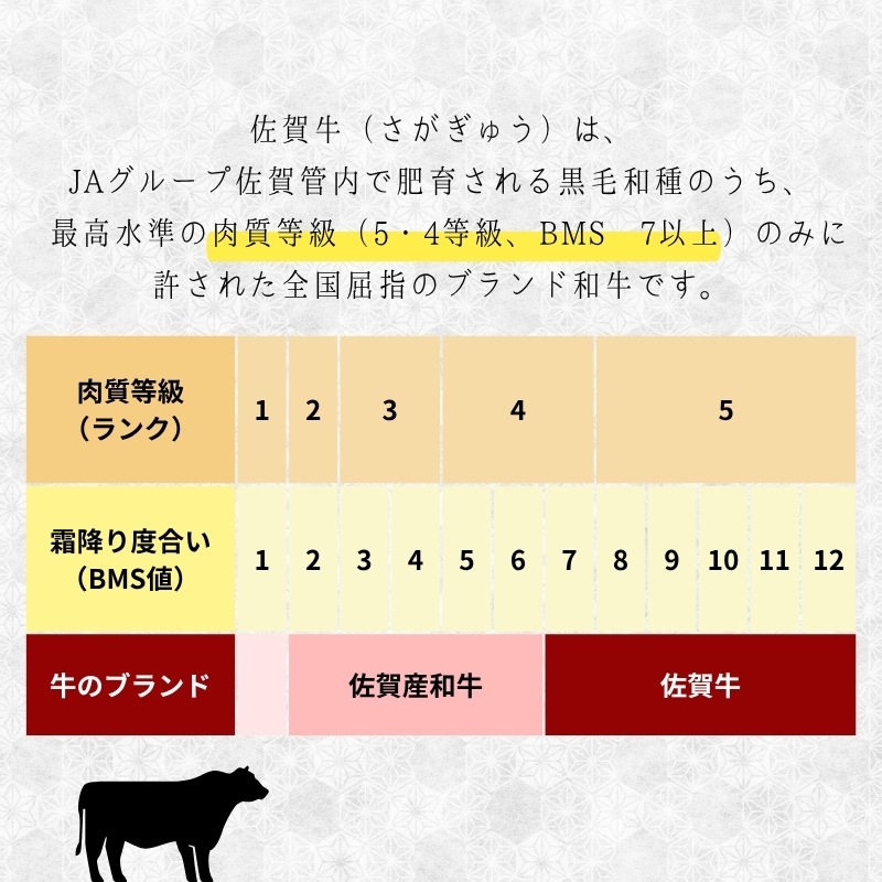 【送料無料】佐賀牛ローストビーフ