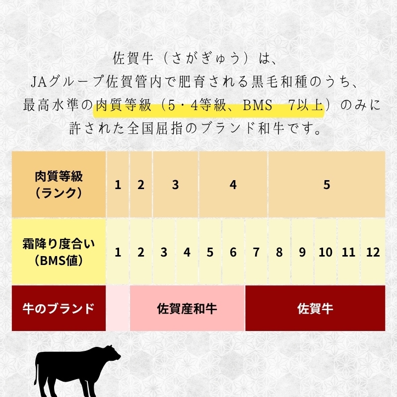 【送料無料】佐賀牛ロースステーキ