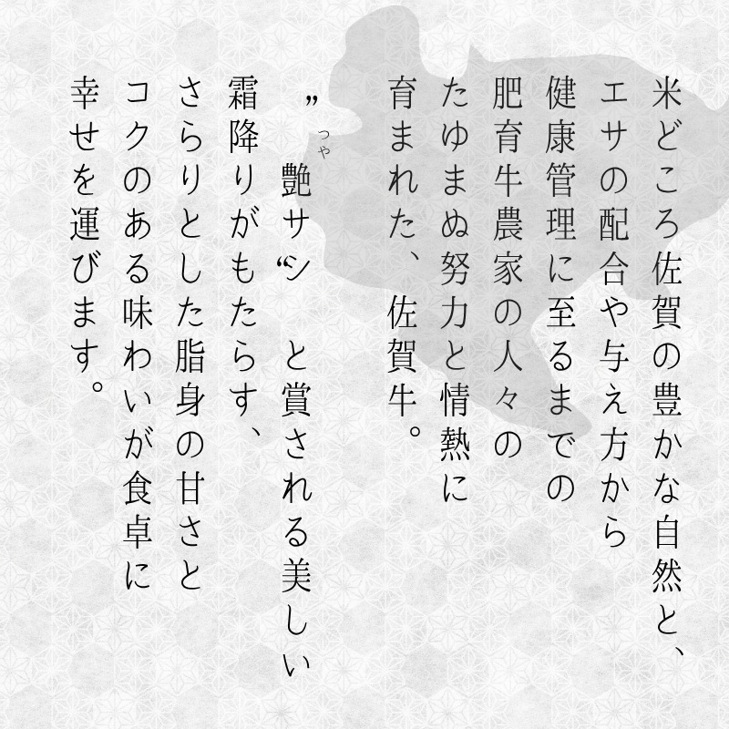 【送料無料】佐賀牛モモうす切り