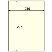 クラッポカード/クリーム