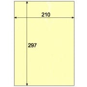 クラッポイースト/キ