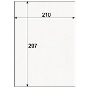 クラッポイースト/シロ