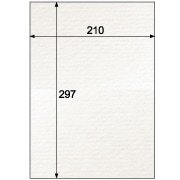 クラッポストライプ/ピュアホワイト