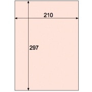 クラッポスター/クッキー