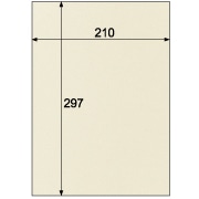 クラッポ小染 はな/絹